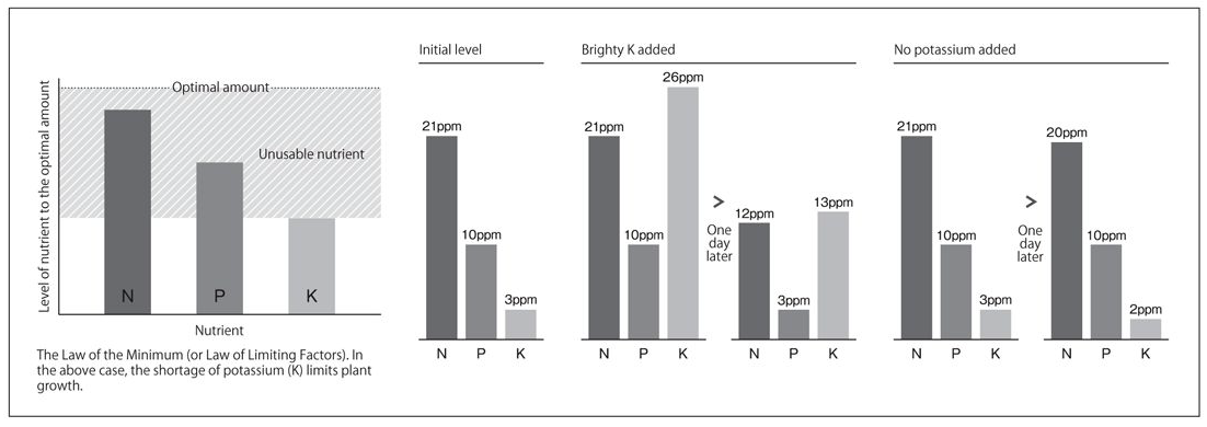 Absorption Of Excessive Nutrients By The Law Of The Minimum