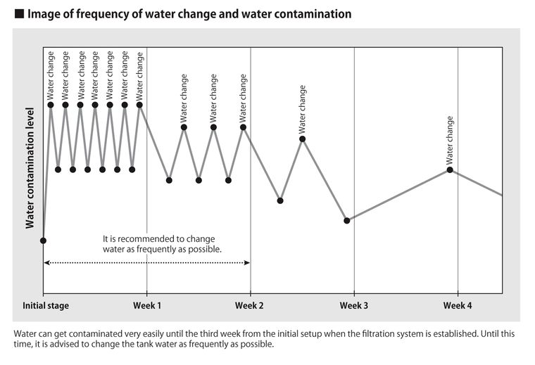 Do I Need To Change The Aquarium Water As Frequently As Possible?