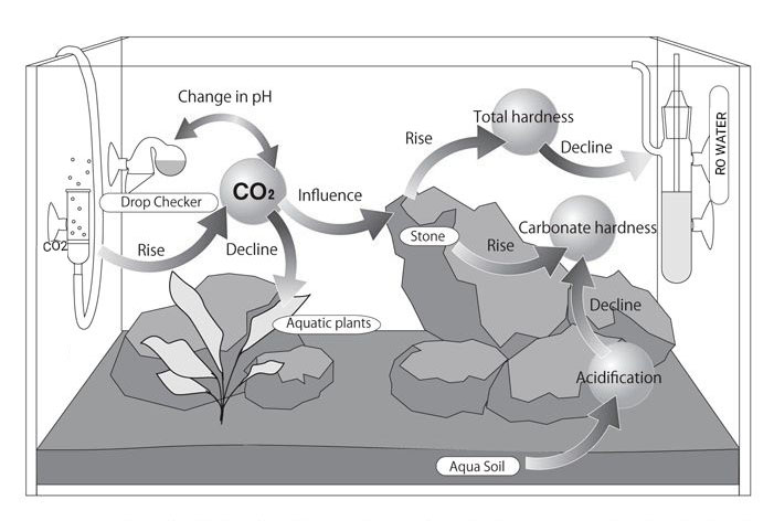 Water Quality That Influences Growth Of Aquatic Plants?