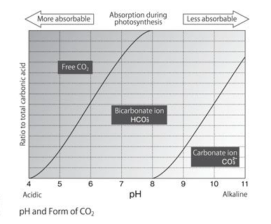 How To Lower The Carbonate Hardness Of Aquarium?