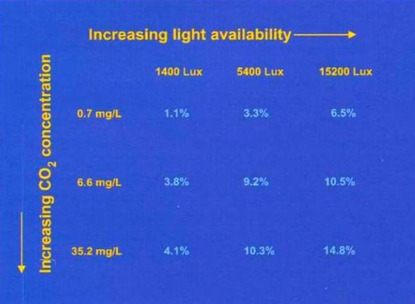 light and CO2 study