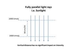 sunlight dispersion