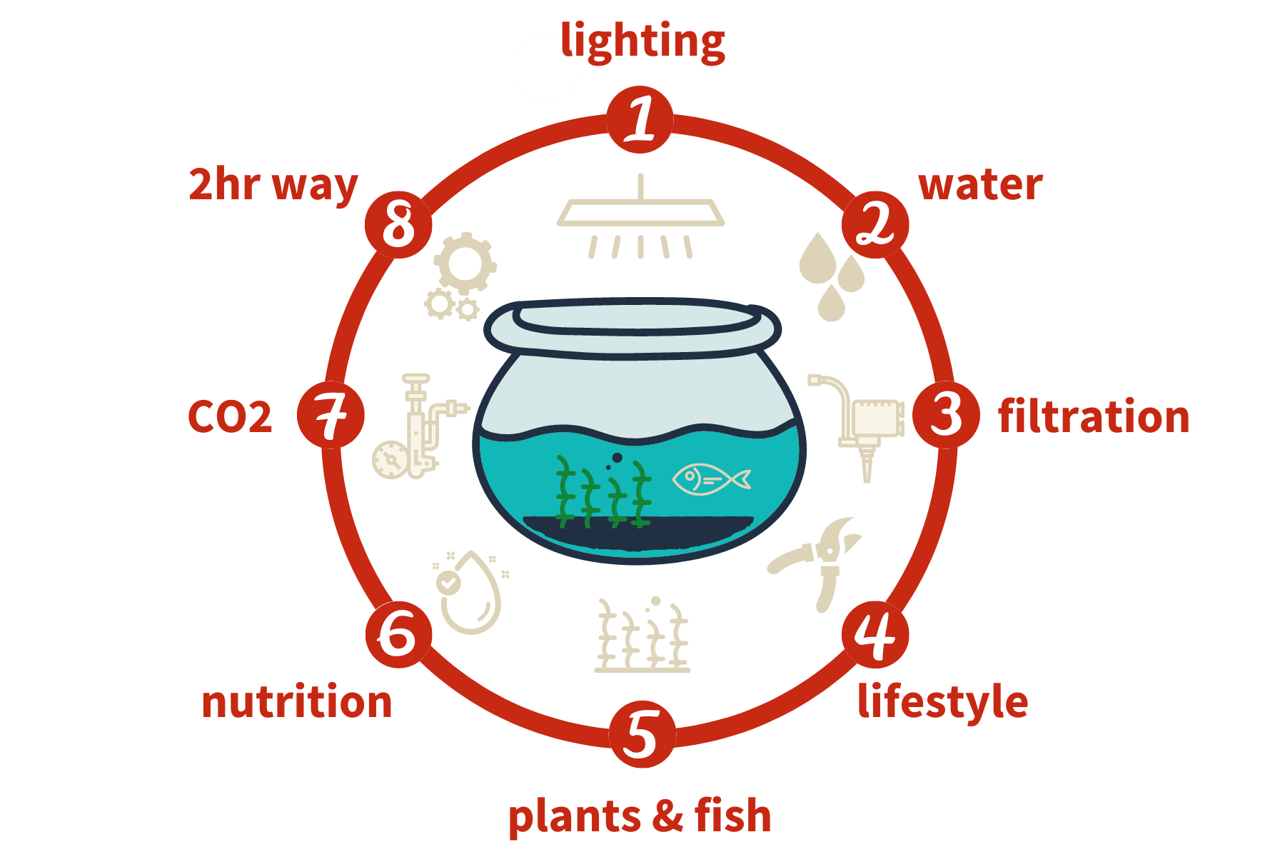 Planted Tank basics