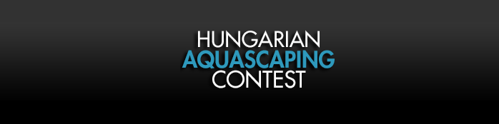 hungarian aquascaping contest