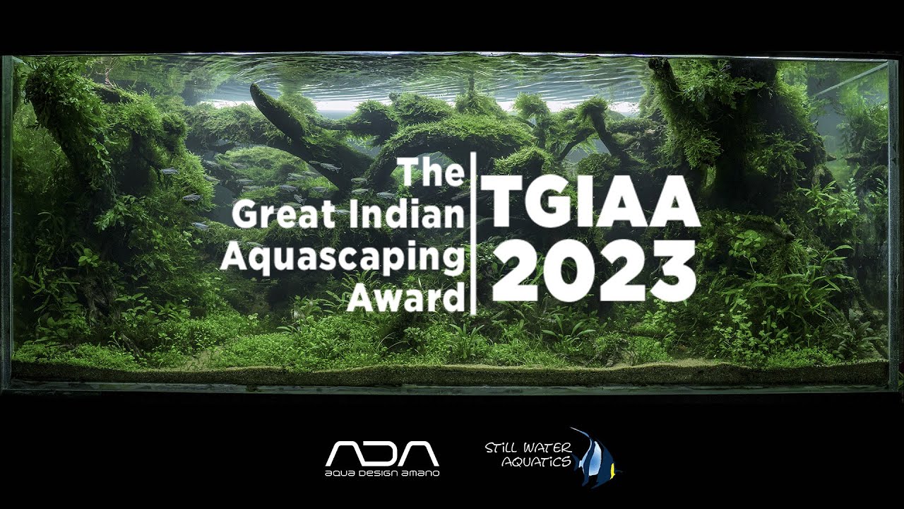 The Great Indian Aquascaping Awards 2023 - (TGIAA 2023) - YouTube