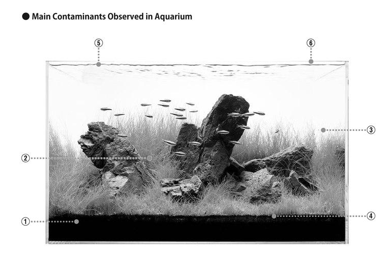Investigating The Causes Of Aquarium Contamination