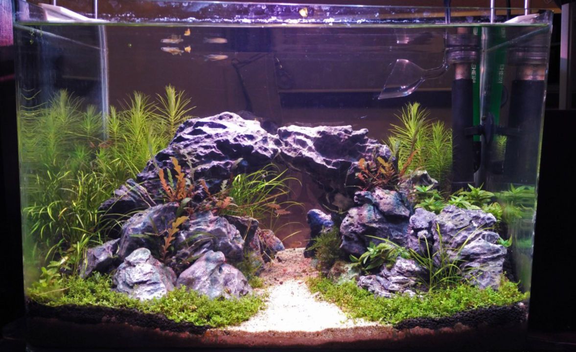 What Is A Good Level Of Kh In A Planted Aquarium ?