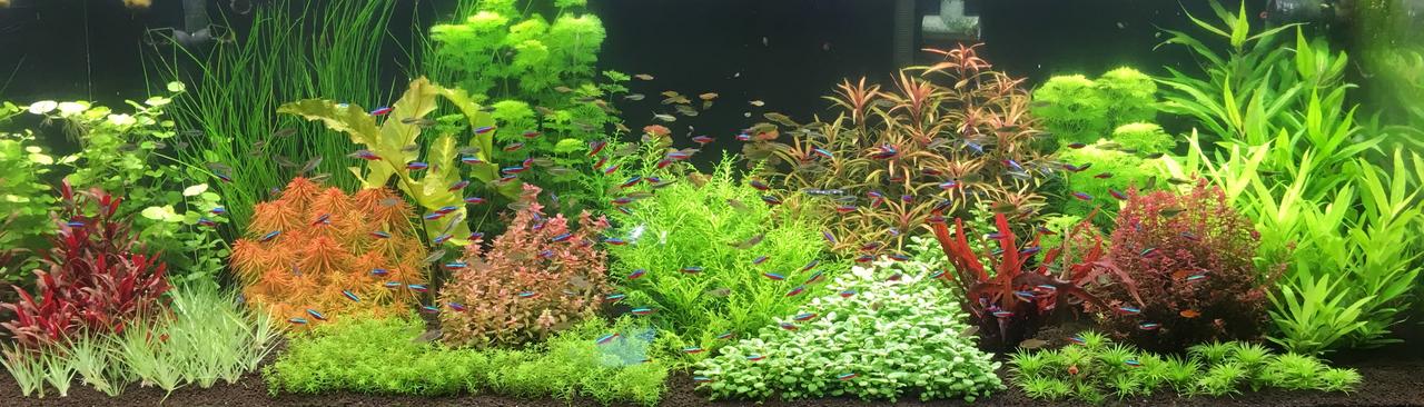 FTS_6.2.17.jpg