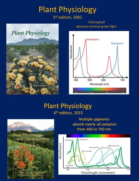Plant Physiology Textbook Updates