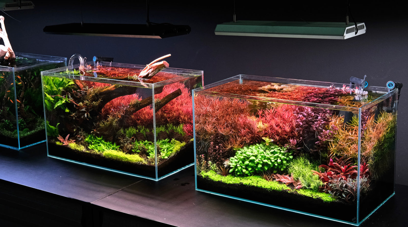 The best LED units for planted tanks in 2023
