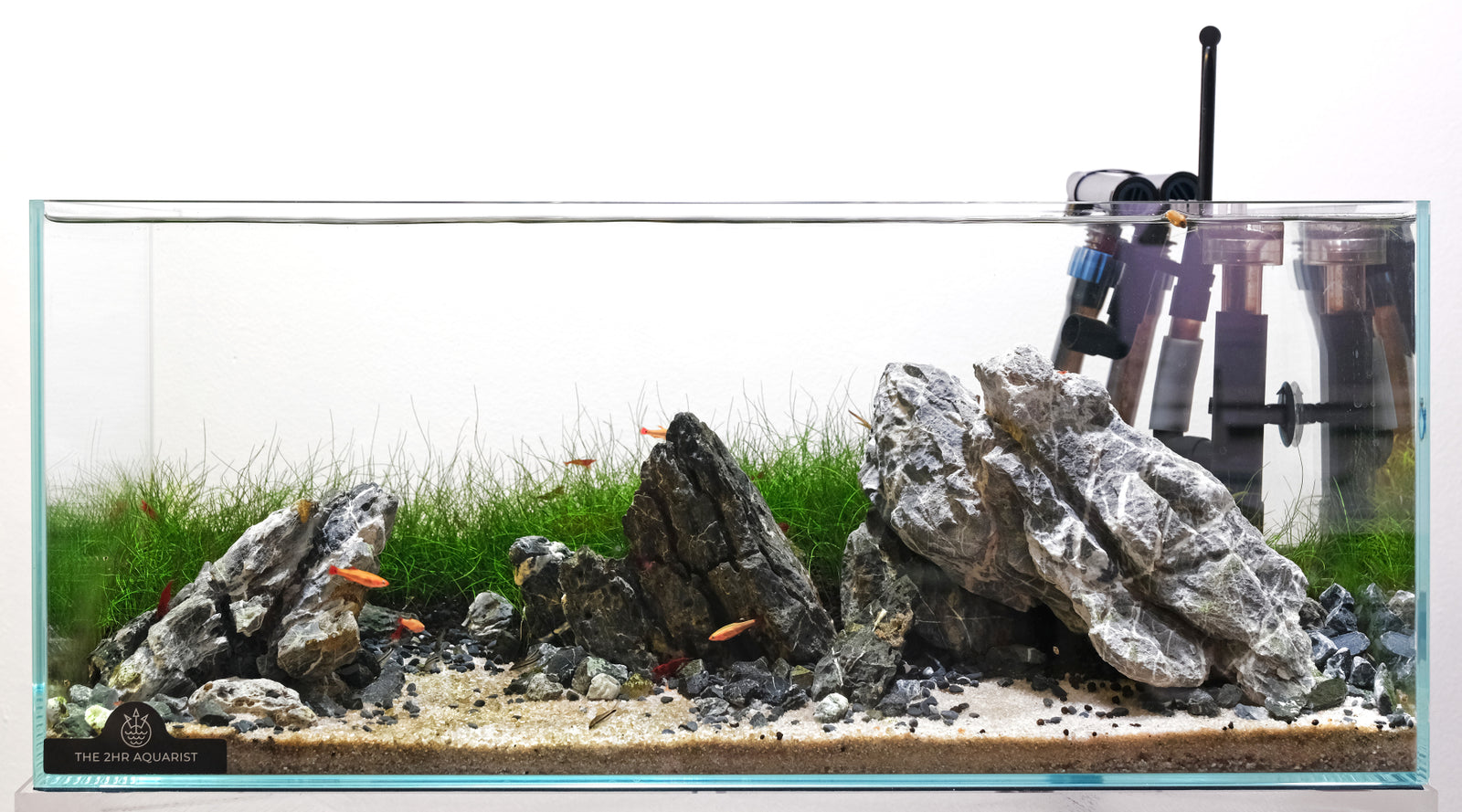 2hr Guide to Iwagumi aquascapes